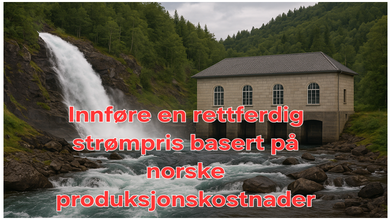 VIPartiet mener løsningen er klar! Ta kontroll over krafta tilbake.