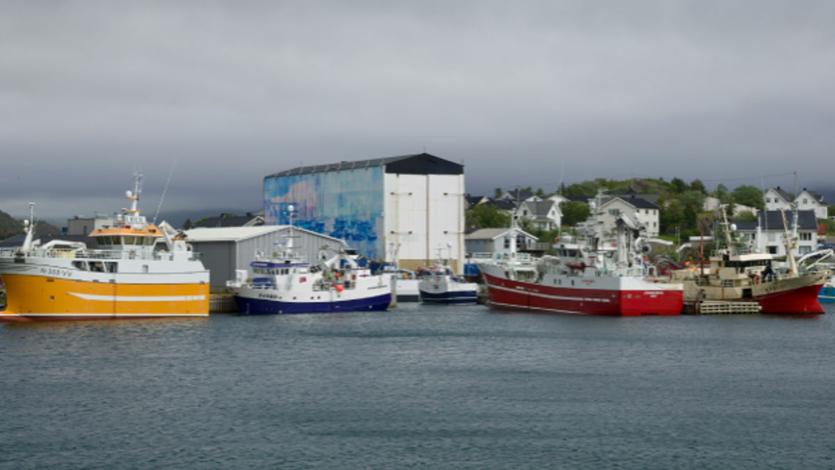 Fiskeri og havbruk. Bilde: Stock Birken on Unsplash Fiskeri og havbruk. Bilde: Stock Birken on Unsplash