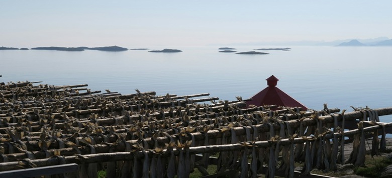Klippfisk på gjeller